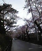 癒しカフェ☆
