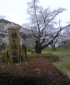 癒しカフェ☆