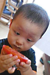 親子で野菜教室。