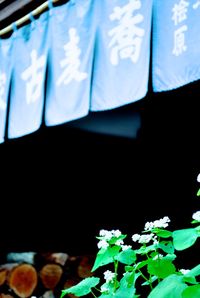蕎麦古家
