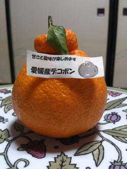 おいしい柑橘系
