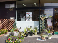 one  day  shop  オープン♪