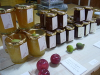 かぞくのひきだし展