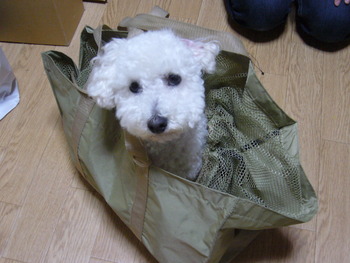ピー・・・ハウス