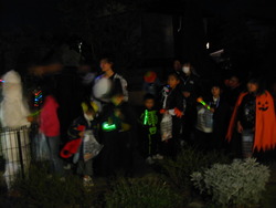 Trick or Treat ♪