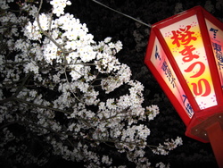 夜桜見物~☆&とっぴ~♪