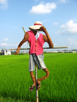田んぼの中のポニョ♪