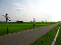 田んぼの中のポニョ♪