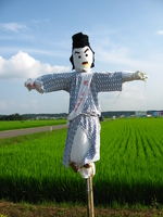 田んぼの中のポニョ♪