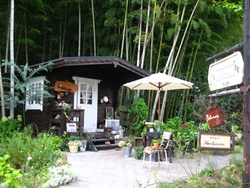 素敵なお店♪