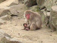 動物園へ行って来ました♪