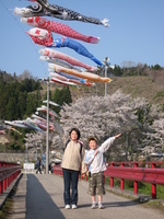 夏井の千本桜☆…つづき