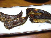 うちだけ?かな?