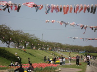釈迦堂川で土手滑り♪