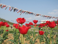 釈迦堂川で土手滑り♪