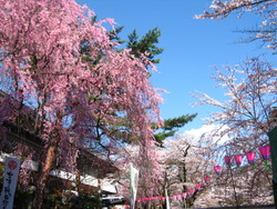 会津鶴ケ城♪