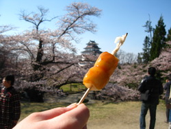 会津鶴ケ城♪