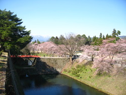 会津鶴ケ城♪