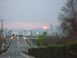 小沢の桜♪と白桃ソフト♪
