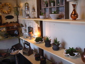 garden & zakka Tasha ♪