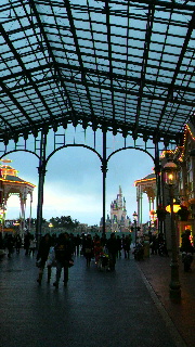 楽しかったねTDL♪