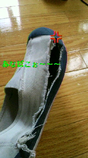 明日から・・