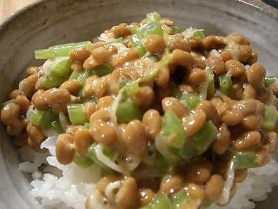 わさび納豆