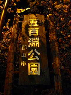 夜桜@五百淵公園