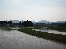 空の庭