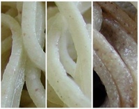 蕎麦の角