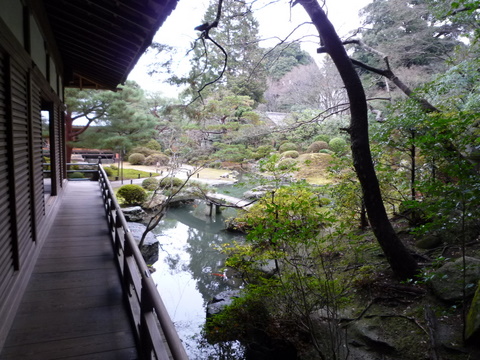 素敵なお庭が眺められる！青蓮院門跡(京都)
