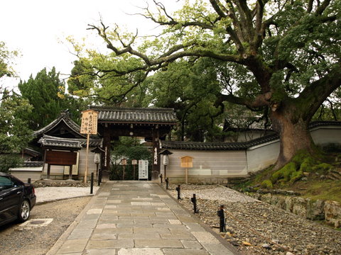 素敵なお庭が眺められる！青蓮院門跡(京都)