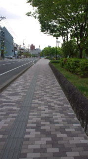 海外出張の朝