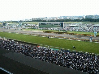 ダービー回顧