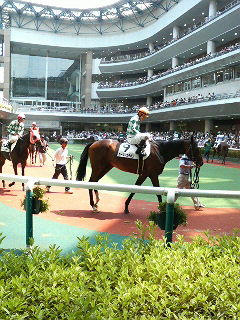福島競馬場