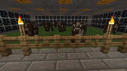 Minecraft日記、その2