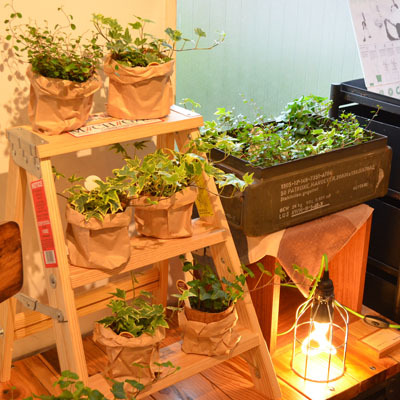 SKY PLANTER Workshop!! SKY PLANTER Workshop!!