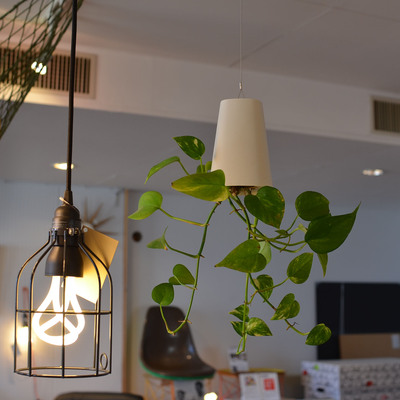 SKY PLANTER Workshop!! SKY PLANTER Workshop!!