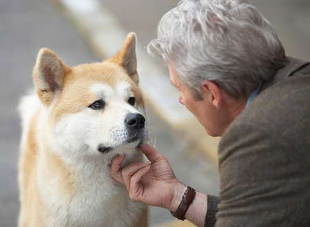 HACHI約束の犬は八月公開です