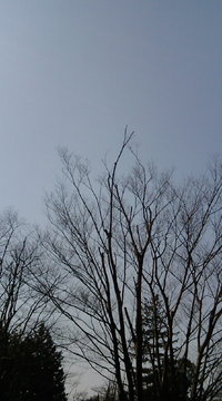 春の空~・.。*゚♪゚゚+.・.。*゚♪゚゚+.・