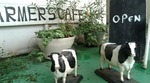 Farmers Cafe～♪