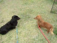 open garden*:..。o○♪*゚¨゚゚・*:..。