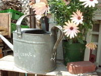 open garden*:..。o○♪*゚¨゚゚・*:..。