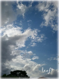 夏の空~♪