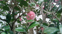 明日は最終日です~♪