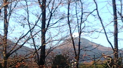 良いお天気~♪