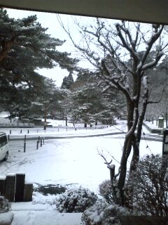 雪景色♪